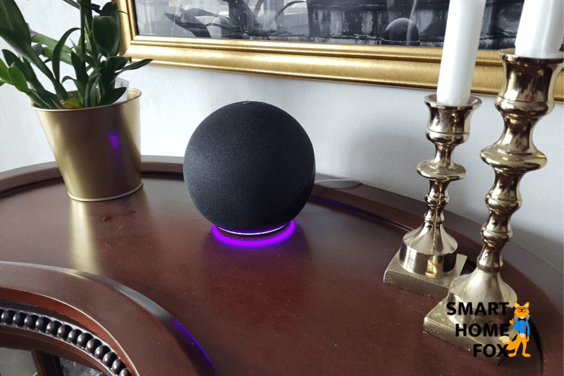 Alexa is standing on a cabinet and the ring is glowing purple